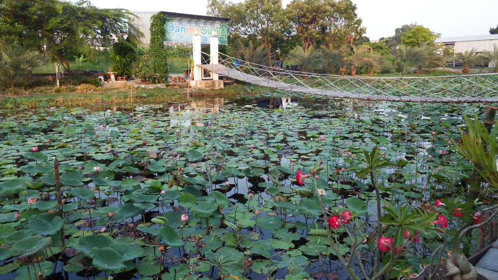 The centerpiece of Ban Ing Suan - the bridge over the pond