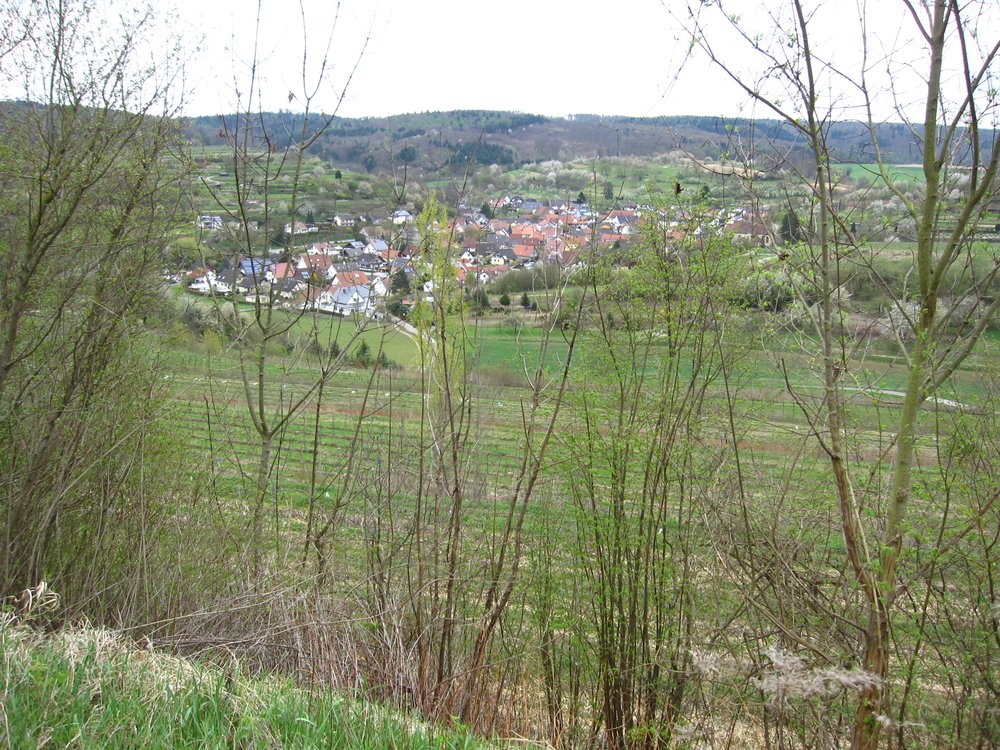 The village of Bombach taken from the vineyards surrounding it in winter
