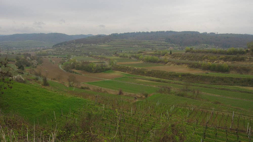 Heading towards Bären Park from Galgenberg