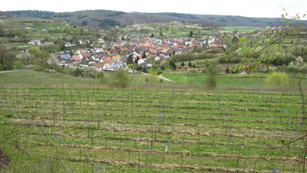 Bombach and its vineyards in the distance