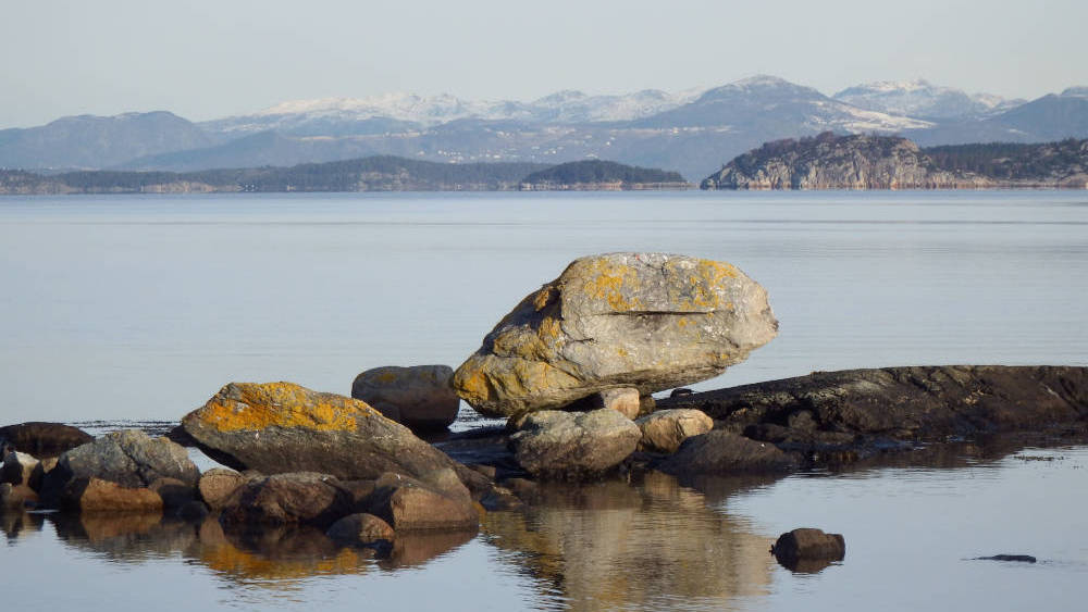 Typical fjord scenery