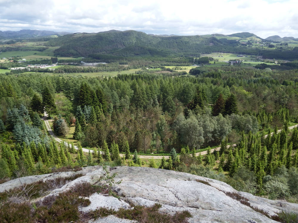 Looking out across Rogaland Arboretum