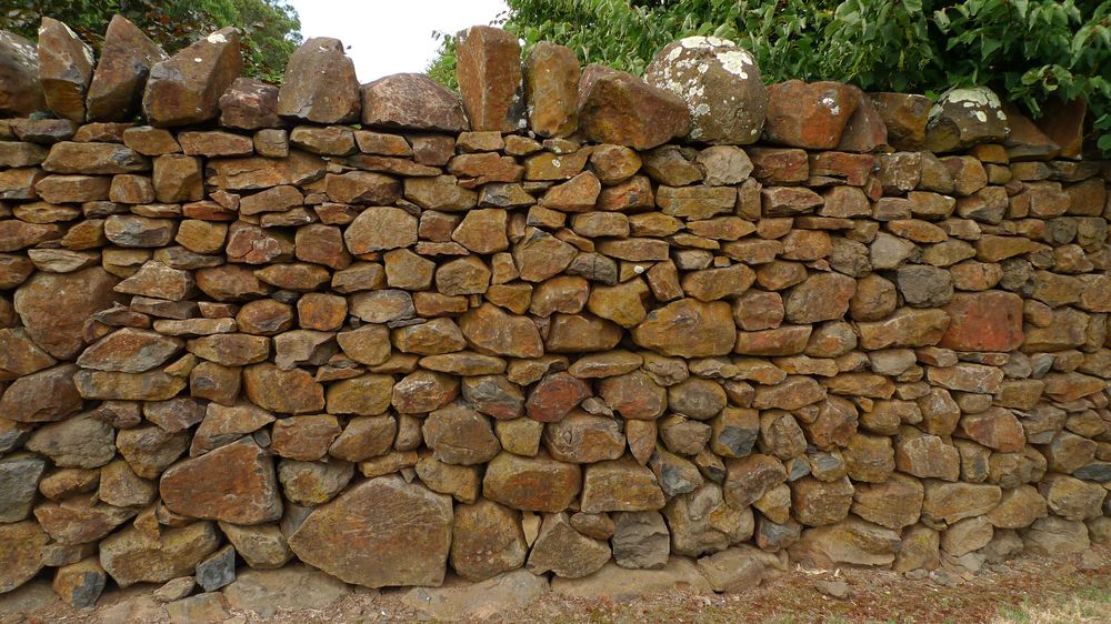 Nice stone wall typical in Tasmania
