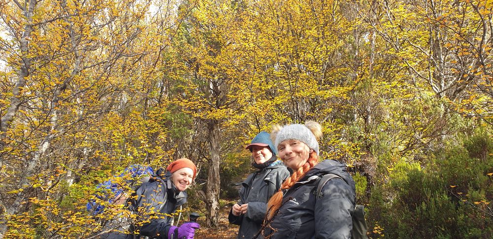 The girls enchanted by the nothofagus gunnii