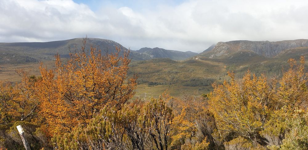 View south looking towards Dove Lake area from the ridge