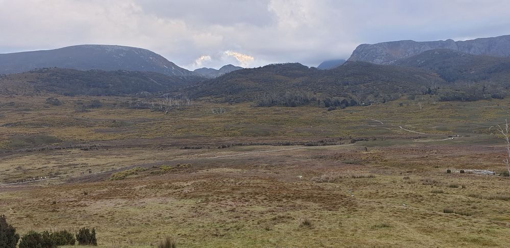 View from the shelter at Waldheim of the start of the Overland Track boardwalk