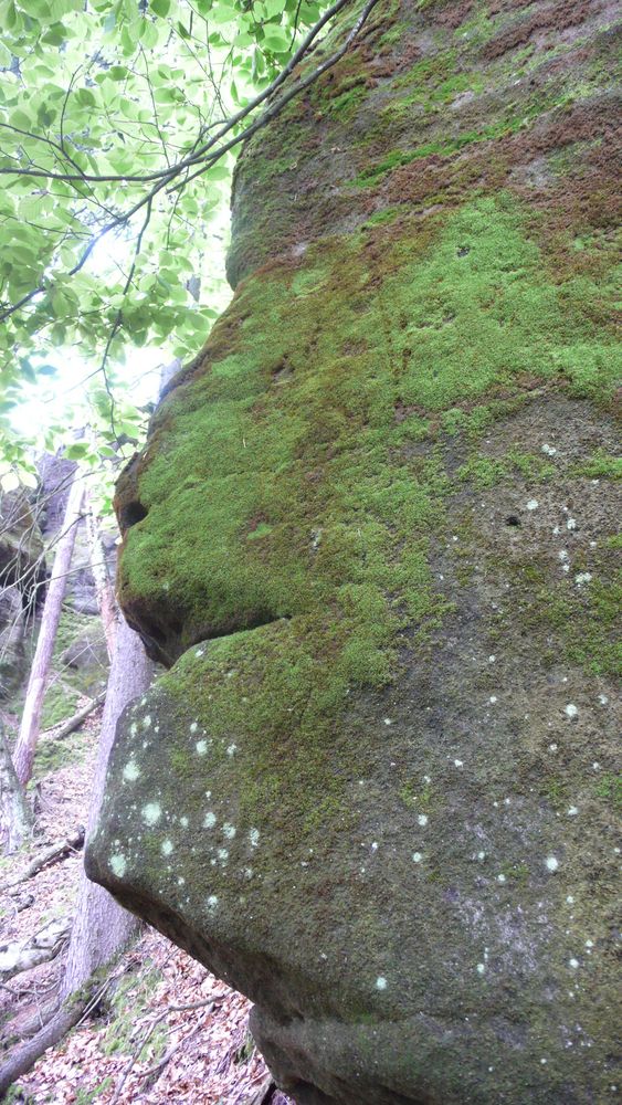 A face profile in the rock