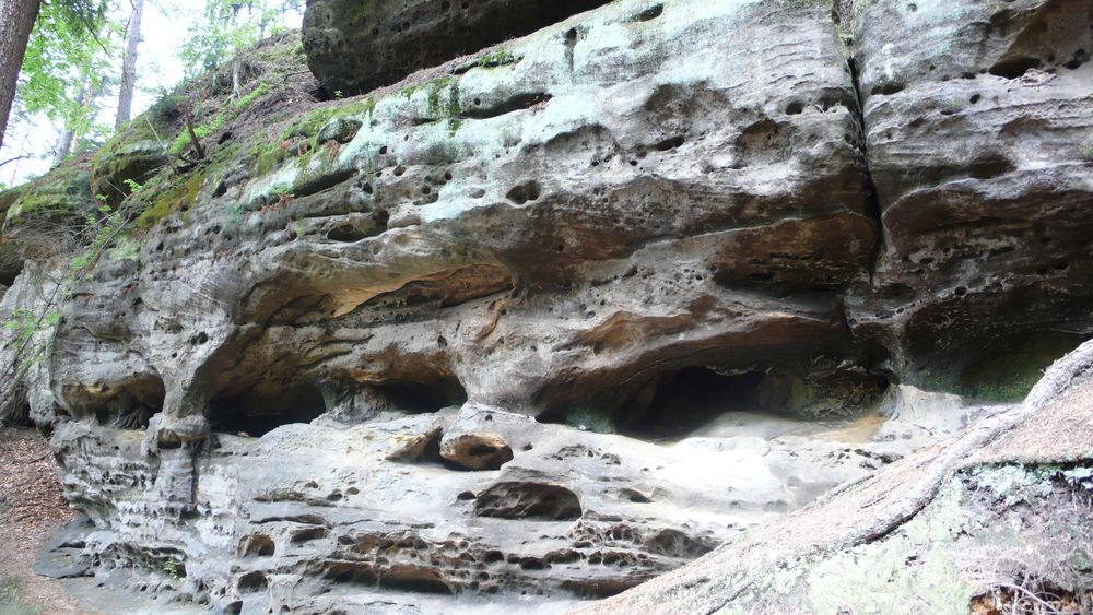 Sandstone features most likely formed by water