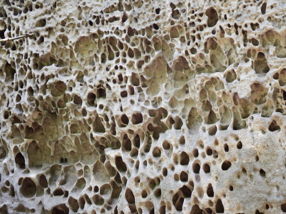 Close up of the sandstone honeycomb