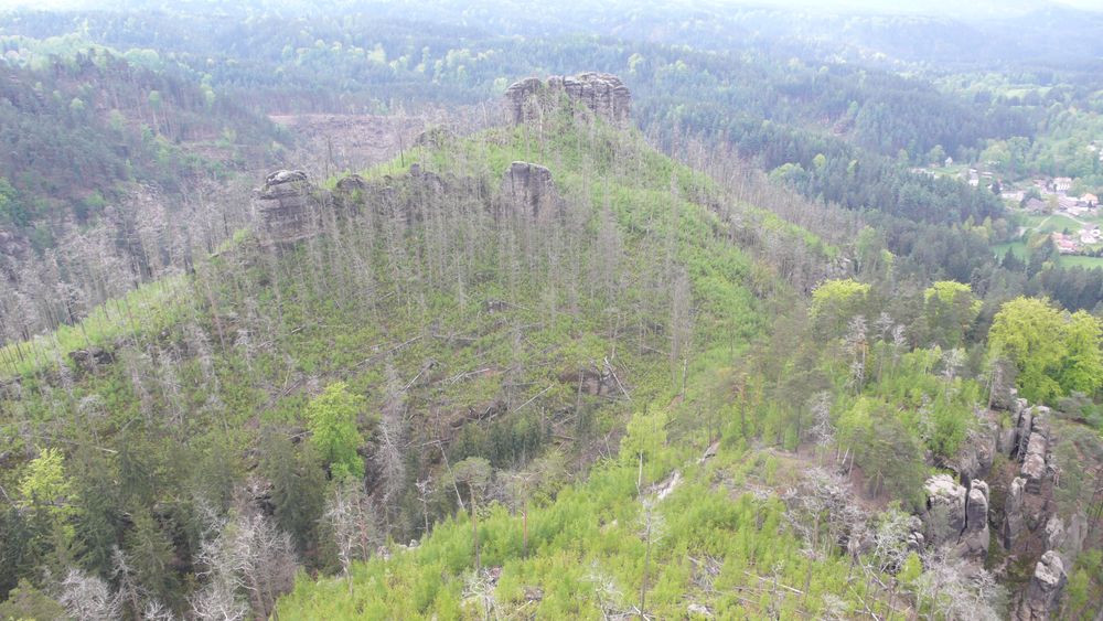 Looking at fire damage from one of the lookouts