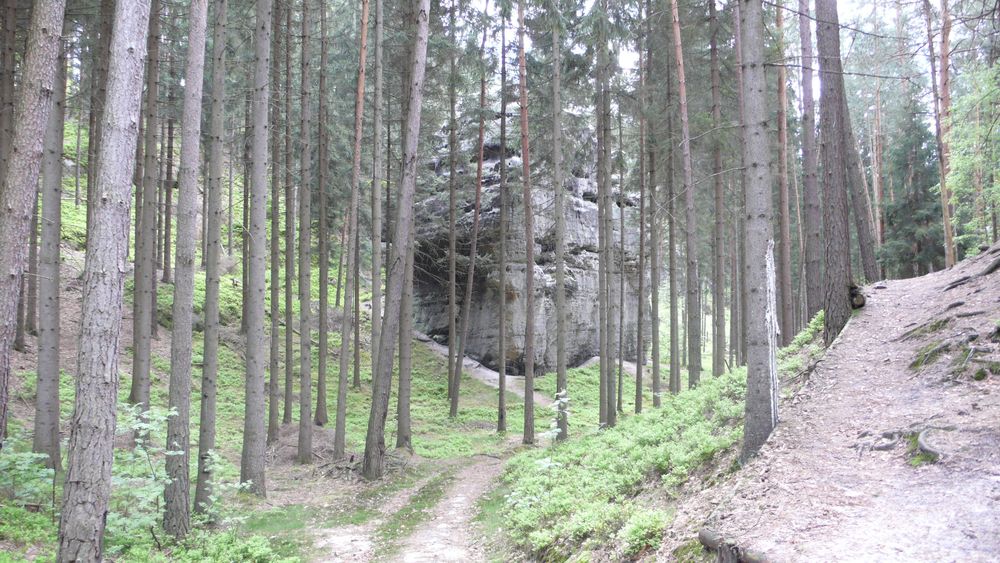 The trail into the park