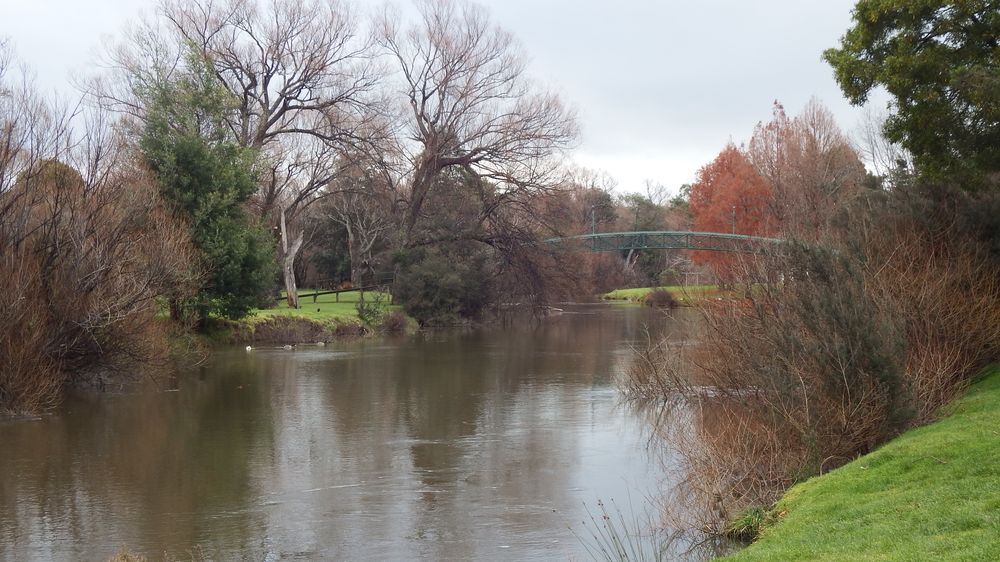 Meander River as it flows through Deloraine