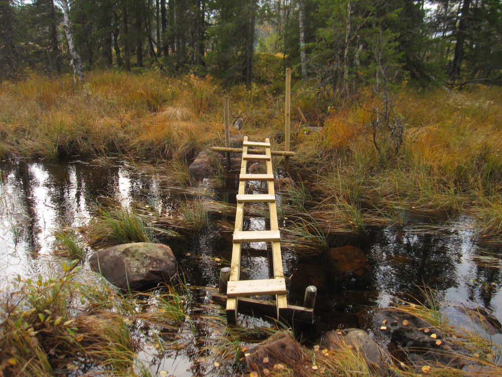 A new possibility for crossing the wetlands when very wet, although it didn't last long before the ladder disappeared in a flood