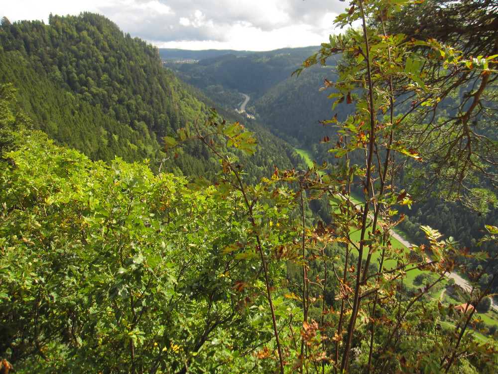 The Hoellental is a narrow valley that connects Freiburg with the Black Forest