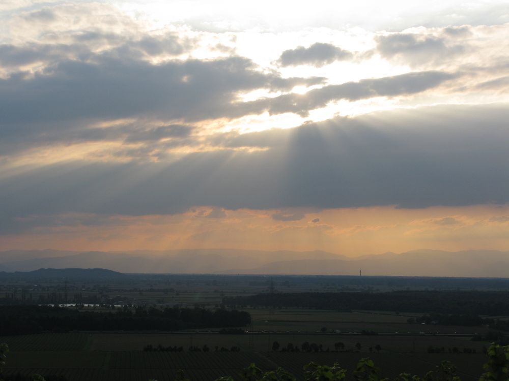 One of my favourite views from the vineyards above Kenzingen. Looking out across the Rhine valley towards the Vosges mountains in France.