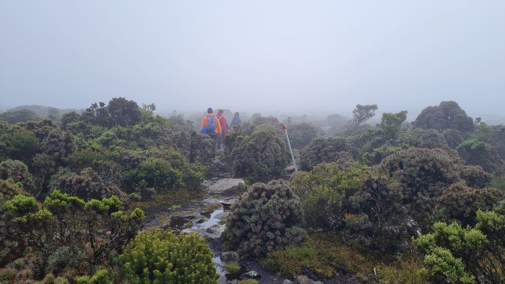 On top of Quamby plateau