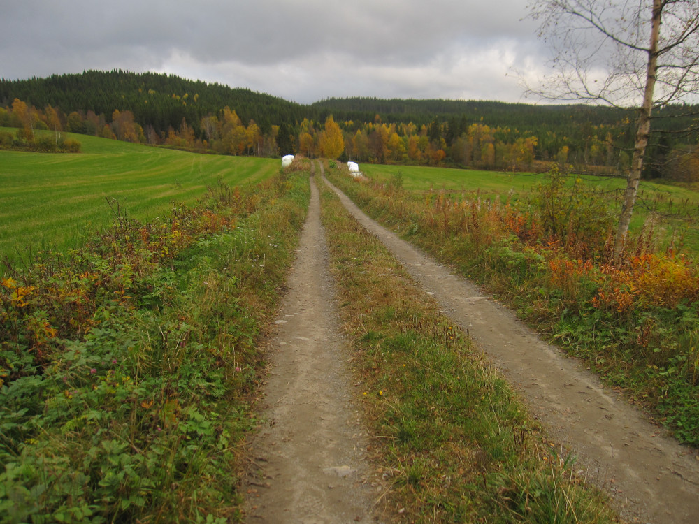 The trail takes you past some of the local farms