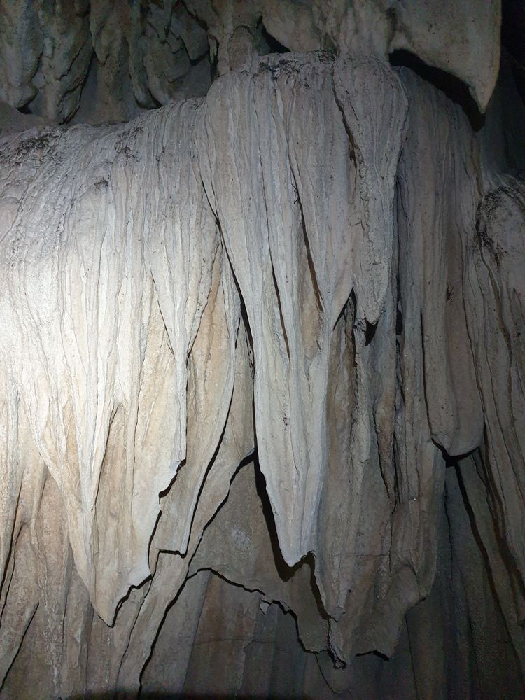 Sassafras cave