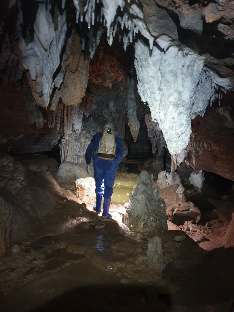 Sassafras cave