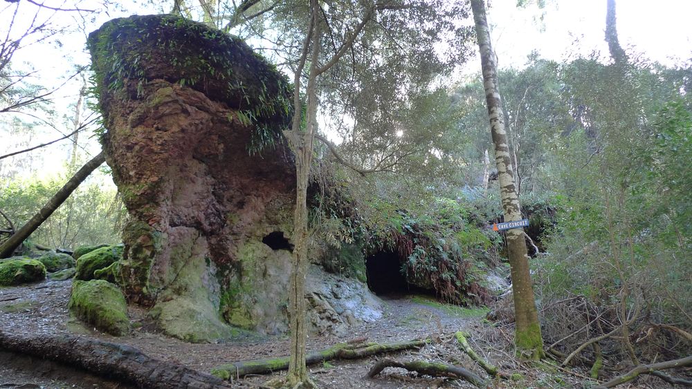 An amazing limestone feature in the shape of a whale.