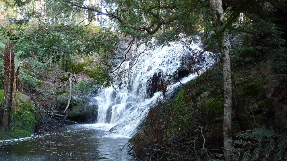 Redwater Creek falls.