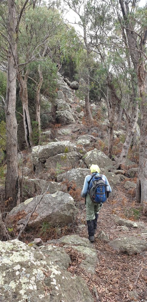 The track going over more boulders.