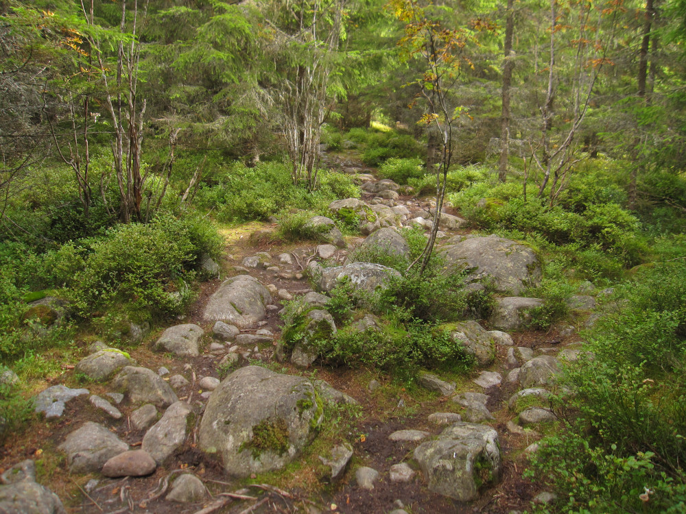 The start of the trail is over many rocks through woodland