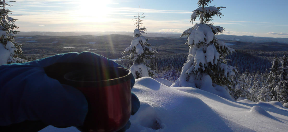 The gapahuk at Tusseplassen The gapahuk at Tusseplassen