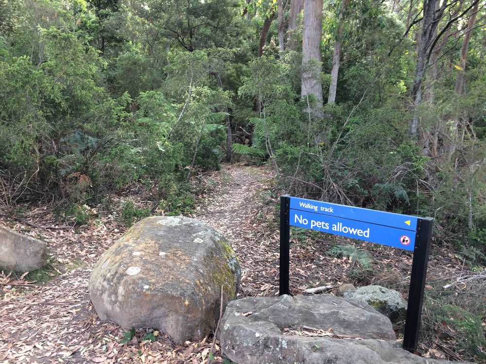 Westmorland Falls car park and trailhead